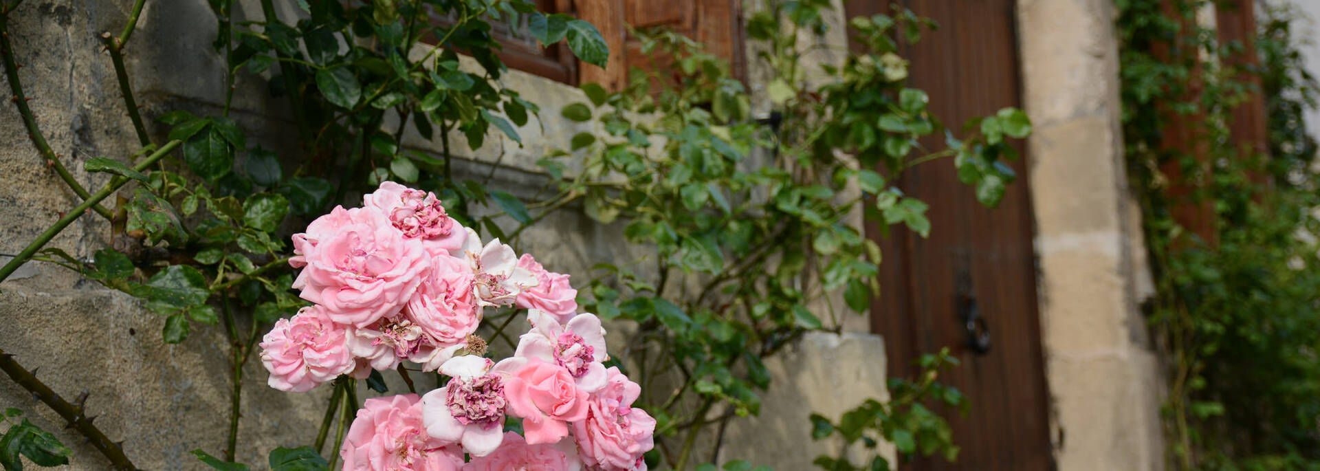 The medieval street flowery